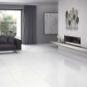 Carrelage sol brillant Electra blanc brillant 59,4x59,4 cm