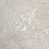 Carrelage sol effet pierre Quartz grey 100*100 cm