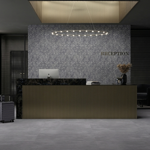 Carrelage sol moderne...