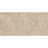 Carrelage sol et mur effet métal Atonium Concert Beige 60*120 cm