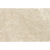 Carrelage sol extérieur effet pierre Alta naturel R12 45x65 cm