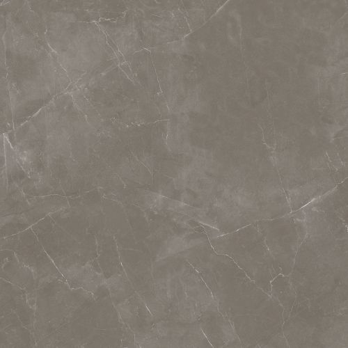 Carrelage sol effet marbre Joali taupe mat 120x120 cm