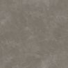 Carrelage sol effet marbre Joali taupe mat 120x120 cm