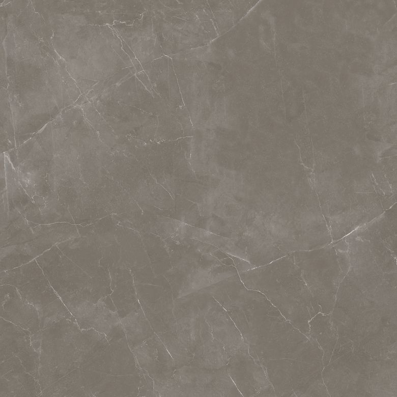 Carrelage sol effet marbre Joali taupe mat 120x120 cm