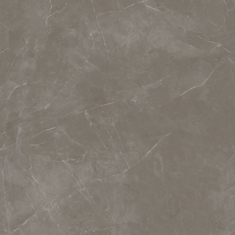 Carrelage sol effet marbre Joali taupe mat 120x120 cm