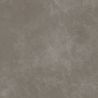 Carrelage sol effet marbre Joali taupe mat 120x120 cm