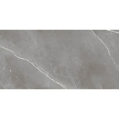 Carrelage sol poli effet marbre Joali argent 60120 cm