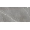 Carrelage sol poli effet marbre Joali argent 60120 cm