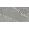 Carrelage sol poli effet marbre Joali argent 60120 cm