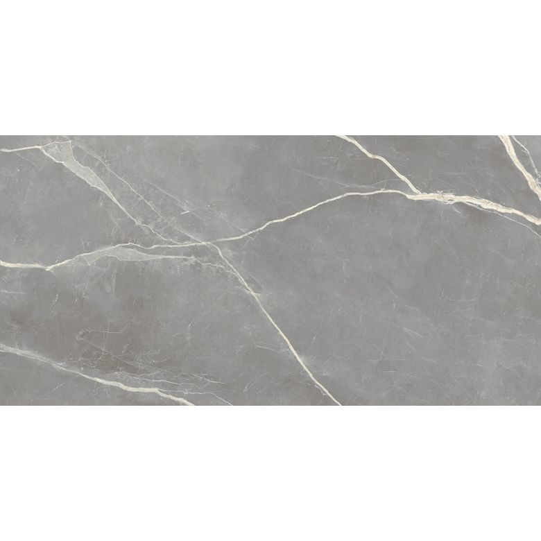 Carrelage sol poli effet marbre Joali argent 60120 cm