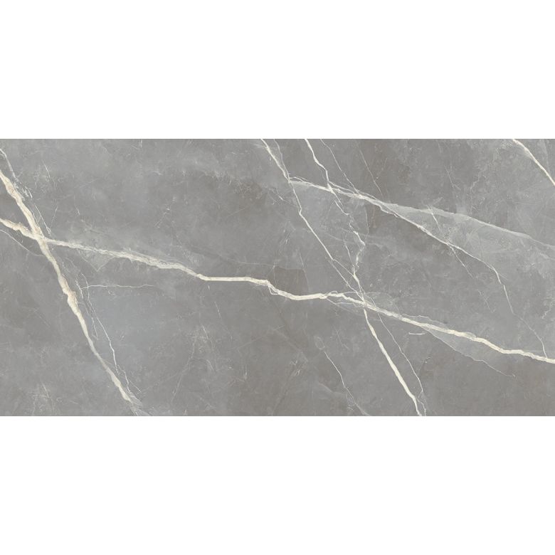 Carrelage sol poli effet marbre Joali argent 60120 cm