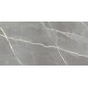 Carrelage sol poli effet marbre Joali argent 60120 cm