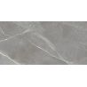 Carrelage sol poli effet marbre Joali argent 60120 cm