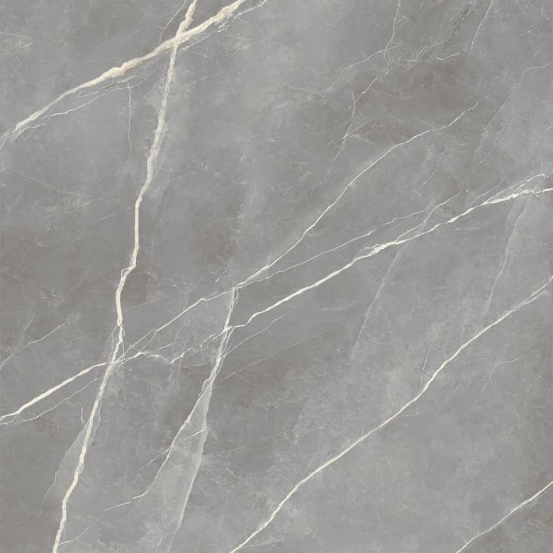 Carrelage sol effet marbre Joali argent mat 120x120 cm