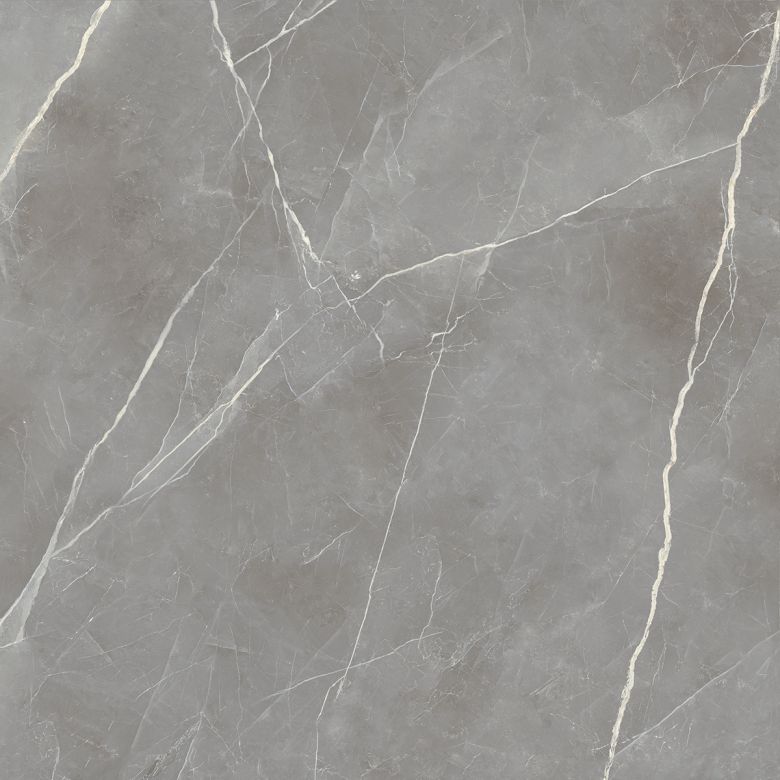 Carrelage sol poli effet marbre Joali argent120120 cm