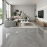 Carrelage sol poli effet marbre Joali argent 30*60 cm