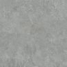 Carrelage sol effet pierre Maddalena anthracite 120x120 cm