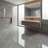 Carrelage sol poli effet marbre Joali argent 60120 cm