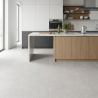Carrelage sol effet pierre Alfabia perle 60x60 cm