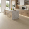 Carrelage sol effet pierre naturelle Sassolini beige 60x60 cm