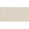 Carrelage sol extérieur effet pierre Sassolini beige R11 60x120 cm