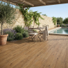 Carrelage sol extérieur effet bois Copernicia noisette R10 20x120 cm