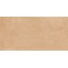 Carrelage sol traditionnel Estany naturel 60x120 cm