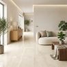 Carrelage sol poli effet marbre Mareterra naturel 3060 cm