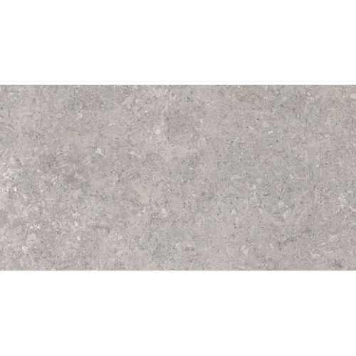 Carrelage sol effet pierre Laconi gris 30x60 cm