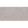 Carrelage sol extérieur effet pierreLaconi gris R11 60x120 cm