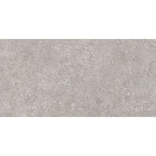 Dalle extérieurLaconi 2.0 grisR11 60x120 cm