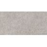 Dalle extérieurLaconi 2.0 grisR11 60x120 cm