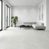 Carrelage sol effet pierre Dylan blanc 60x60 cm