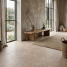 Carrelage sol effet pierre Charme beige 59,2*59,2 cm