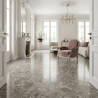 Carrelage sol et mur poli effet pierre Pyrite taupe 60x120 cm