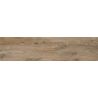 Carrelage sol extérieur effet bois Séquoia oak R11 23x120 cm