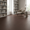 Carrelage fin sol et mur Extra tabaco 50x100 cm