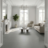 Carrelage fin sol et mur Extra gris 100x100 cm