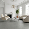 Carrelage fin sol et mur Extra gris 50x100 cm