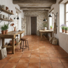 Carrelage sol traditionnel Arles Terracotta 50x50 cm