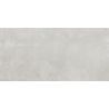 Carrelage sol poli Agra gris30x60 cm