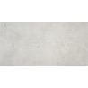 Carrelage sol poli Agra gris60x120 cm