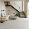 Carrelage sol poli Agra gris 60x60 cm