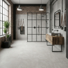 Carrelage sol poli Agra gris 60x60 cm