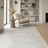 Carrelage sol poli Agra gris 100x100 cm