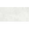 Carrelage sol poli Agra blanc grisé 30x60 cm