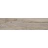 Carrelage sol imitation parquet Séquoia maple 23x120 cm