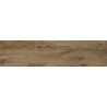 Carrelage sol extérieur effet bois Séquoia oak R11 23x120 cm
