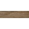 Carrelage sol extérieur effet bois Séquoia oak R11 23x120 cm