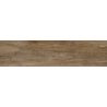 Carrelage sol extérieur effet bois Séquoia oak R11 23x120 cm